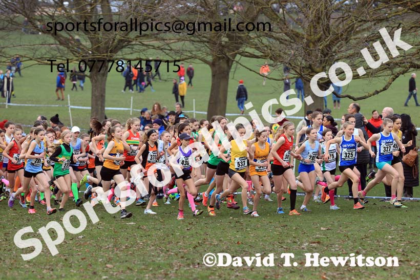 Girls Under-13s, 2024 CAU Inter Counties Cross Country Champs., Wollaton Park, Nottingham. Photo: David T. Hewitson/Sports for All Pics